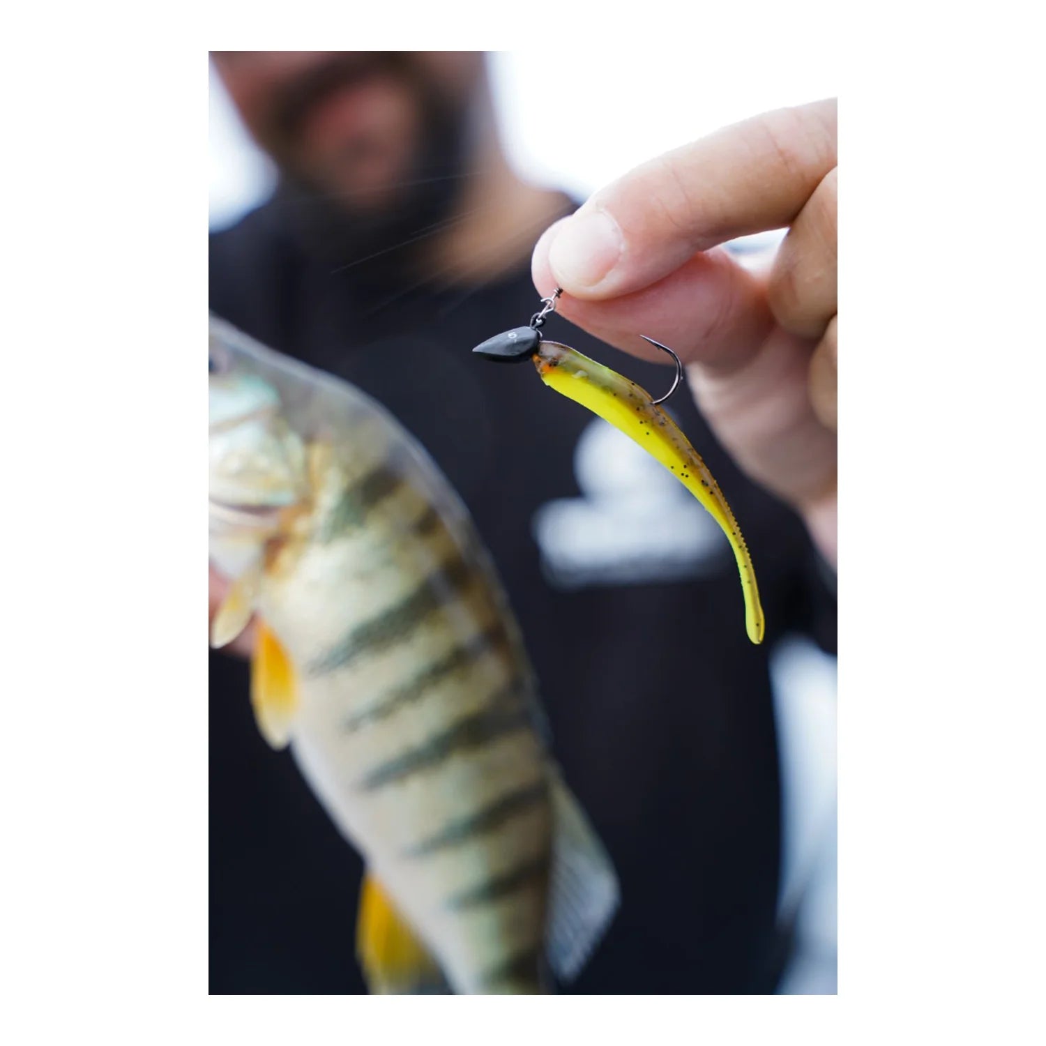 Toppies Pintius am Dart Jig - ThurLure