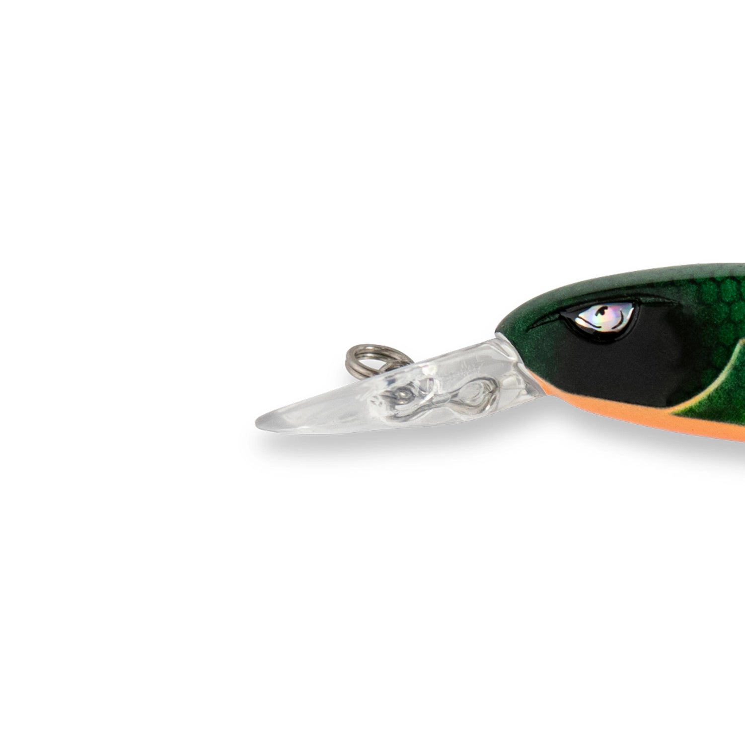 Primos Auge - ThurLure